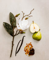 Image 6: Pear Blossom Body Wash