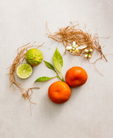 Image 6: Italian Bergamot Spray Cologne