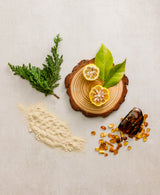 Image 5: Fresh Timber Antiperspirant & Deodorant