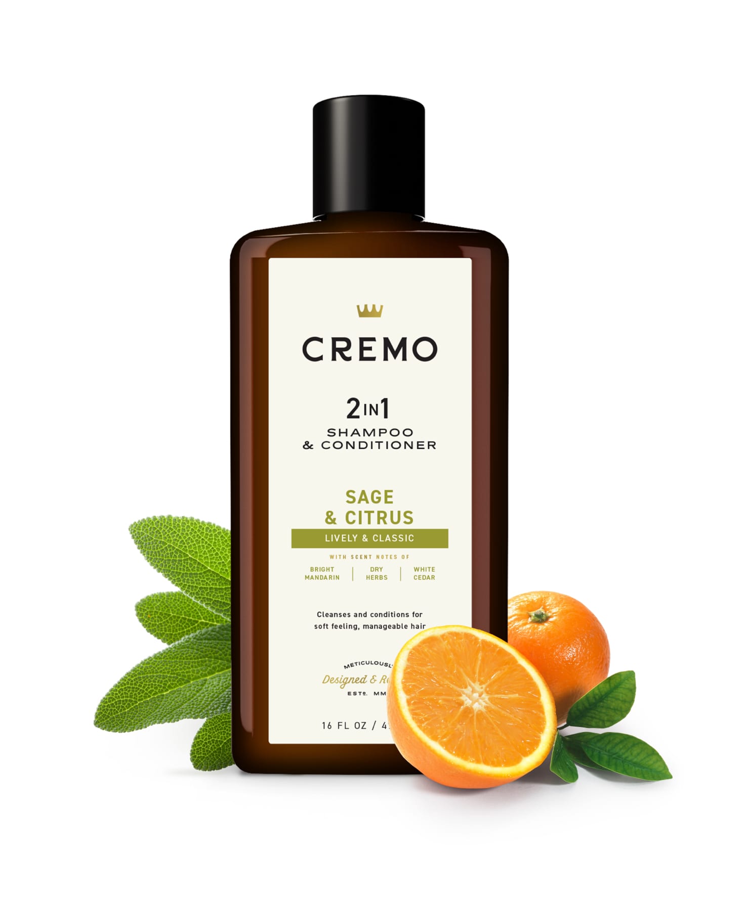 2-in-1 Sage Citrus Shampoo Conditioner - Main Image