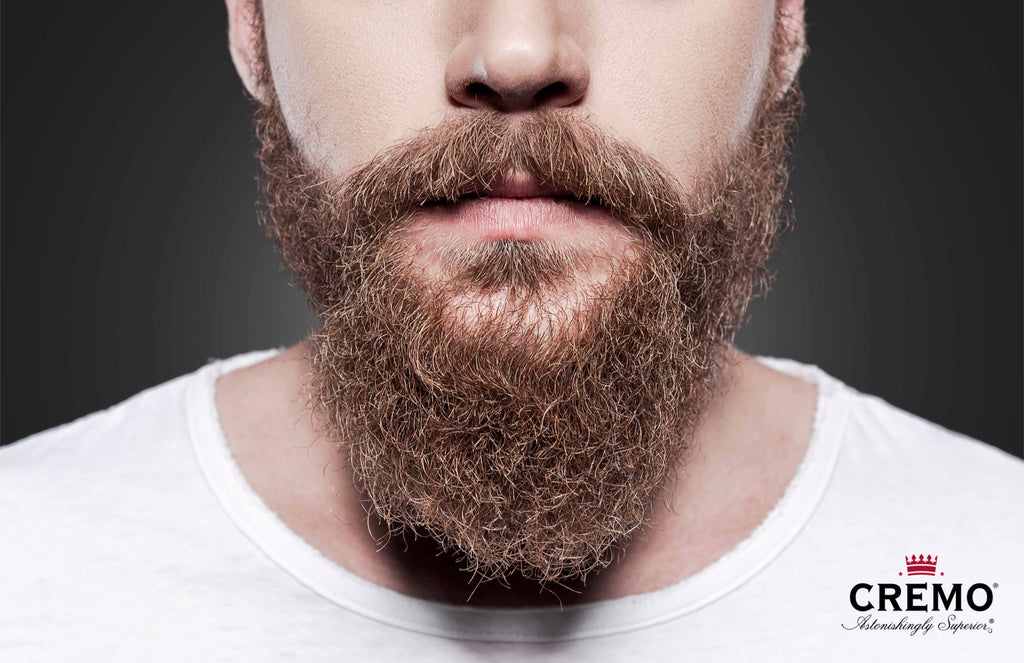 Garance Dore Beard Illustration - Men Facial Hair | Mens facial hair  styles, Types of facial hair, Beard no mustache