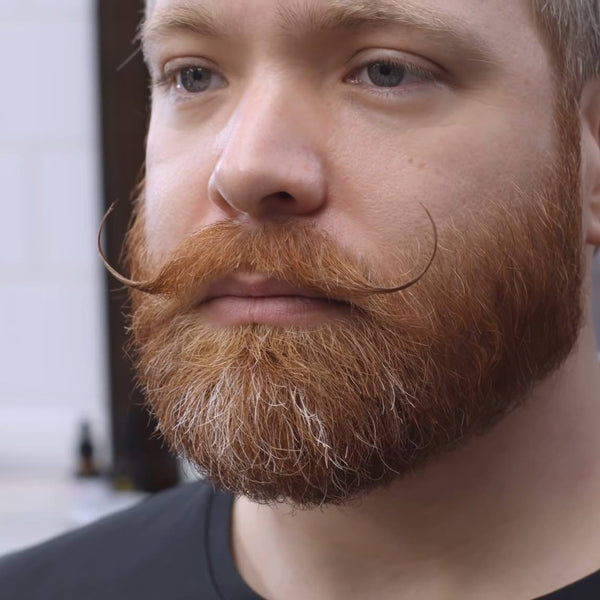 Doded Mustache Biker Mustache Styles