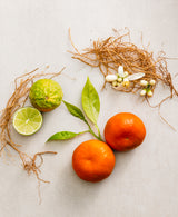 Image 5: Italian Bergamot Mini Body Wash